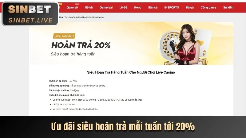 Hoàn trả tiền mặt cao hơn cho thành viên VIP